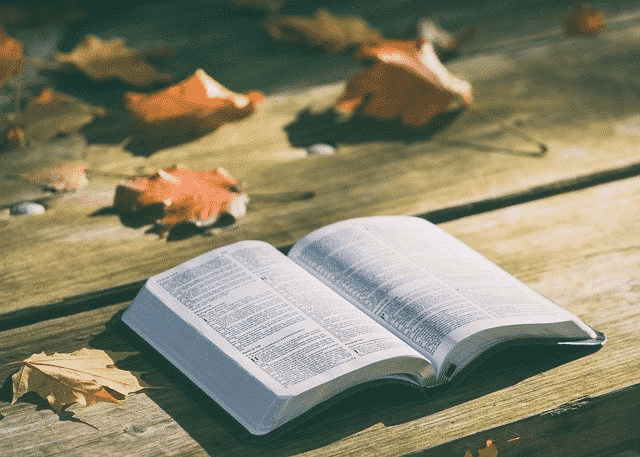 9 Bible Verses To Encourage You